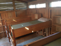 Inside Cabin
